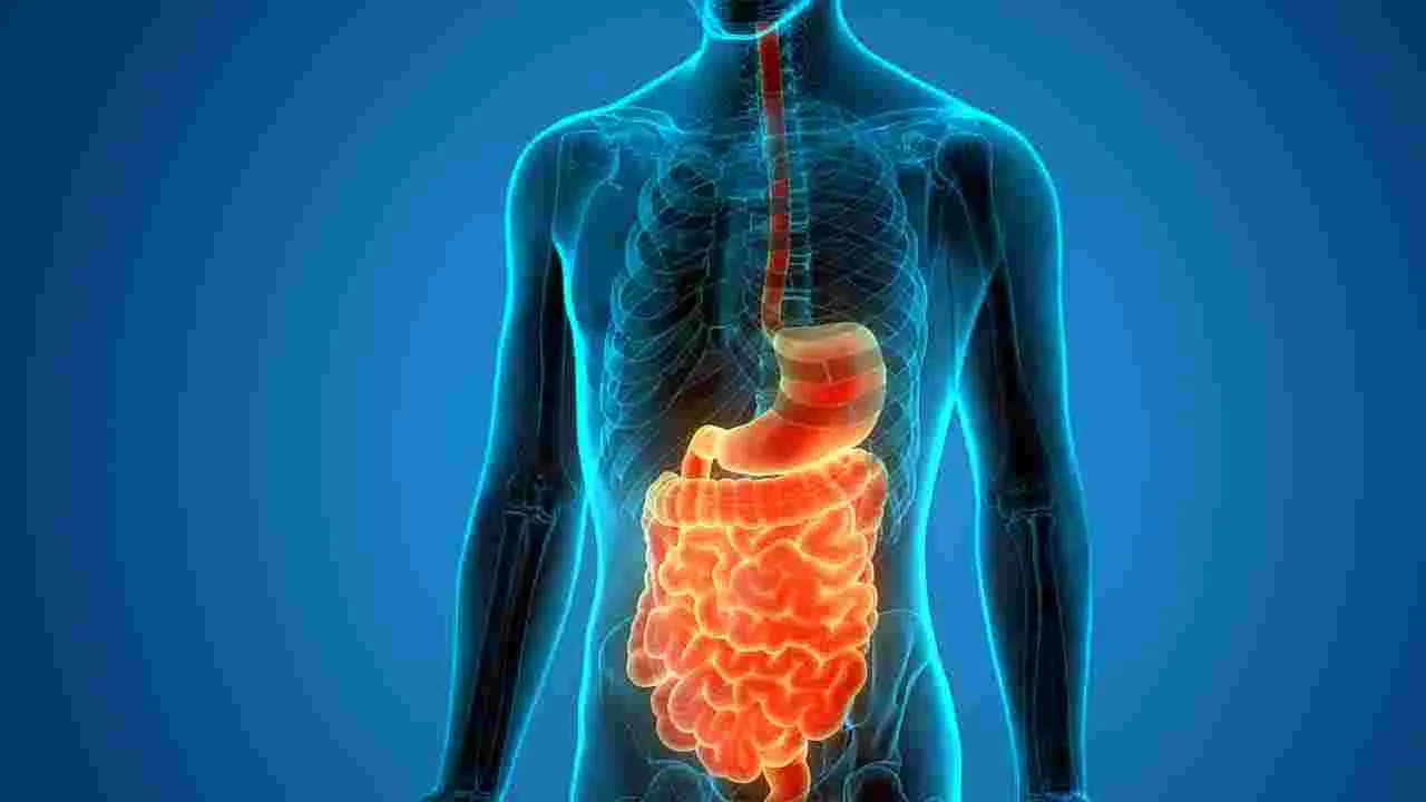 Health Tips: రోజూ ఈ పండు తిన్నారంటే చాలు.. అనారోగ్యం మీ దరి చేరకుండా ఉంటుంది.. 