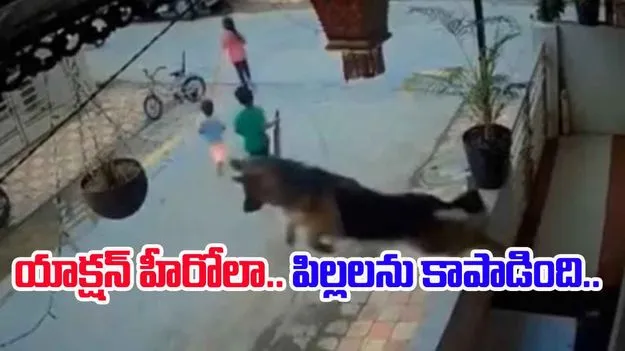 Dog saves child: ఆ కుక్క మనసు ఎంత గొప్పది.. చిన్న పిల్లలను కాపాడడానికి ఎలా పరిగెత్తిందో చూడండి..
