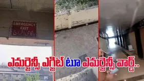 Watch Viral Video: ఈ ఎమర్జెన్సీ ఎగ్జిట్‌లో వెళ్తే నేరుగా నరకానికే.. చూస్తే కళ్లు తేలేస్తారు.. 
