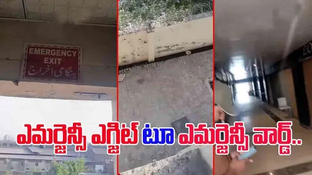 Watch Viral Video: ఈ ఎమర్జెన్సీ ఎగ్జిట్‌లో వెళ్తే నేరుగా నరకానికే.. చూస్తే కళ్లు తేలేస్తారు.. 