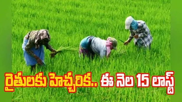 AP News: ఫసల్‌ బీమాతో... రైతులకు ధీమా