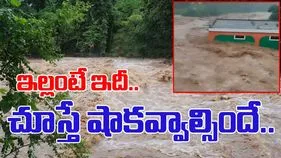 Floods Viral Video: ఈ ఇల్లు కట్టినోడికి దండం పెట్టాల్సిందే.. వరద నీరు ముంచేసినా.. 
