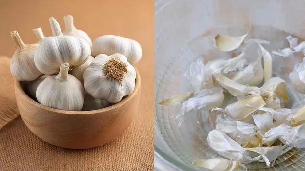 Garlic Peel Benefits: వెల్లుల్లి తొక్కలు పనికిరానివి కాదు.. ఈ వ్యాధులకు దివ్యౌషధం..!