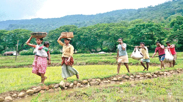  Tribal Life!  ప్రకృతి ఒడిలో.. ఆదివాసీ జీవనం!