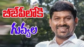 Guvvala Balaraju Political Move: కీలక పరిణామం.. బీజీపీలోకి గువ్వల బాలరాజు