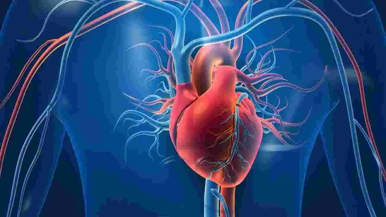 Health Tips: మొలకెత్తిన కొబ్బరి తినడం వల్ల ఏమవుతుందో తెలుసా.. 