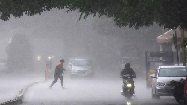 Telangana heavy rains: దంచికొడుతున్న వానలు.. సంగారెడ్డి, మెదక్‌లో భారీ వర్షపాతం నమోదు