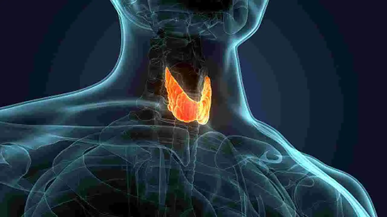 Health Tips: మొలకెత్తిన కొబ్బరి తినడం వల్ల ఏమవుతుందో తెలుసా.. 