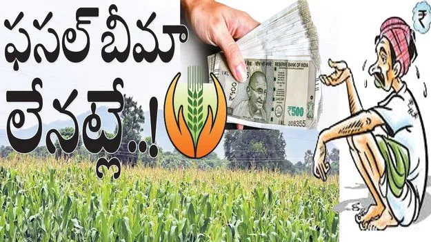  ఫసల్‌ బీమా లేనట్లే