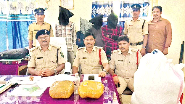 గంజాయితో నలుగురి అరెస్టు  