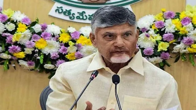 CM Chandrababu Naidu: పులివెందుల జడ్పీటీసీని గెలుచుకుని రండి