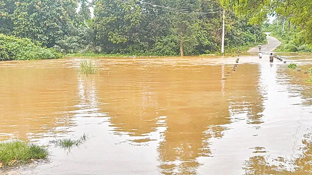 When It Rains… They Tremble! వర్షం వస్తే.. వణుకే!
