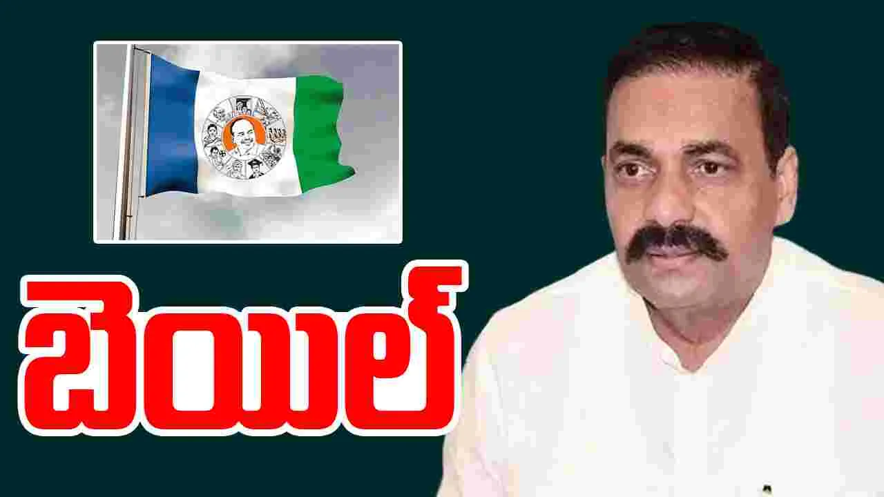 Kakani Govardhan Reddy: కాకాణి గోవర్ధన్ రెడ్డికి షరతులతో కూడిన బెయిల్