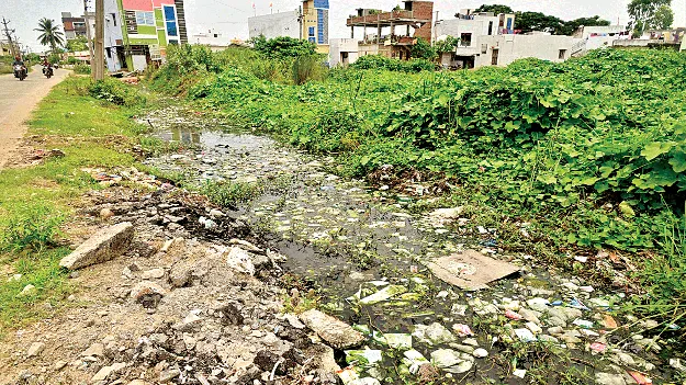 Poor sanitation: కలెక్టర్‌ సారూ.. కంపు కంపు!
