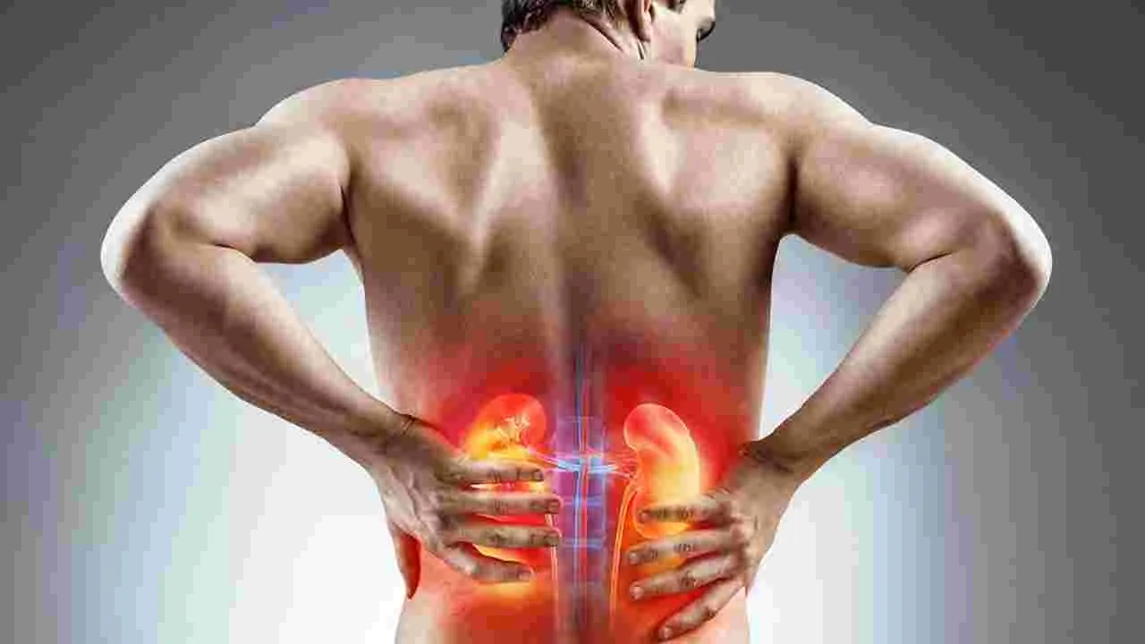 Kidney cancer: ప్రాణాలు తీసే కిడ్నీ కేన్సర్.. ఈ లక్షణాలను జాగ్రత్తగా కనిపెట్టండి..