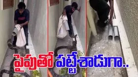 King Cobra Viral Video: 10 అడుగుల కింగ్ కోబ్రాను.. పైపుతో పట్టేశాడుగా.. ఊపిరి బిగపట్టి చూడాల్సిన వీడియో.. 
