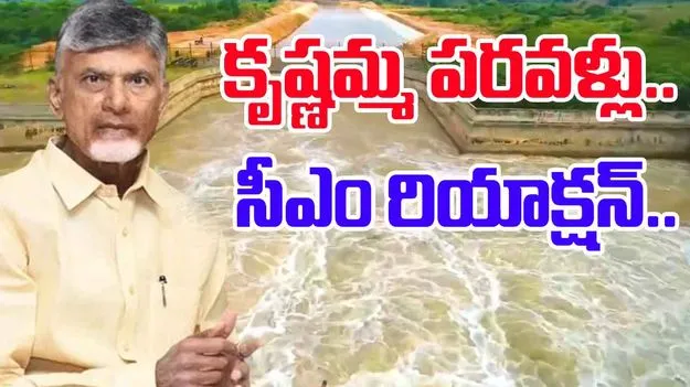 CM Chandrababu: ఆ ప్రాజెక్టుల్లో జల కళ.. సీఎం చంద్రబాబు రియాక్షన్