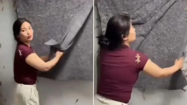 Lizards Video: వామ్మో.. వీడియో చూస్తే భయపడాల్సిందే.. ఈమె బల్లులతో ఏం చేస్తోందో చూడండి.. 