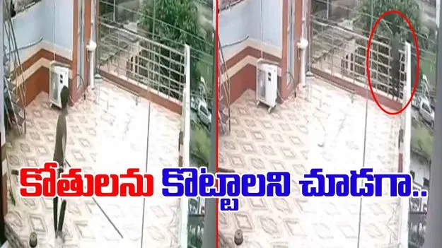 Shocking Viral Video: వామ్మో.. గుండె ఆగిపోయే సీన్.. కోతిని తరిమేయాలని చూడగా.. 