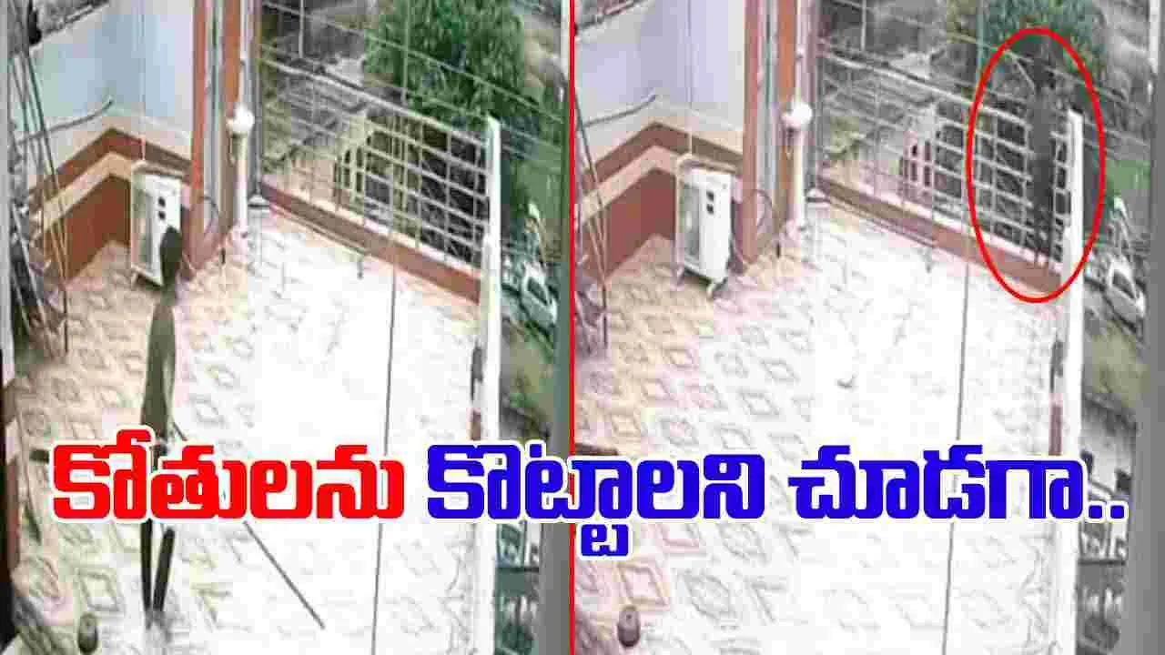 Shocking Viral Video: వామ్మో.. గుండె ఆగిపోయే సీన్.. కోతిని తరిమేయాలని చూడగా.. 