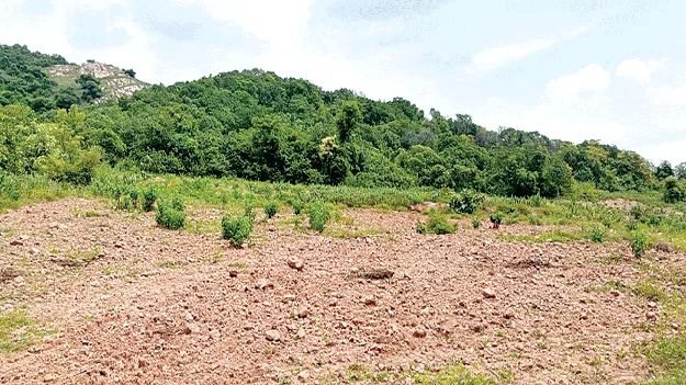 20 acres occupied 20 ఎకరాల కబ్జా