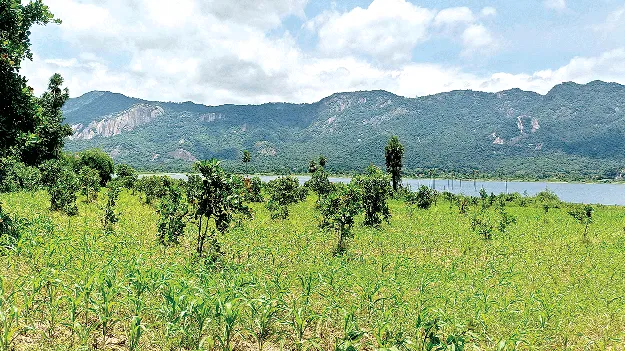 why not respond in andra lands ఆండ్ర భూముల ఆక్రమణలపై   అలసత్వం ఎందుకో?