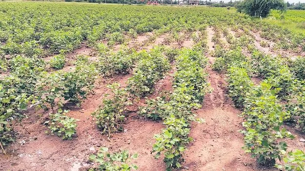 పక్షం రోజుల్లో తలకిందులు