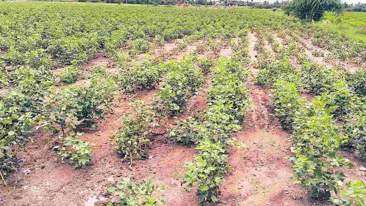 పక్షం రోజుల్లో తలకిందులు