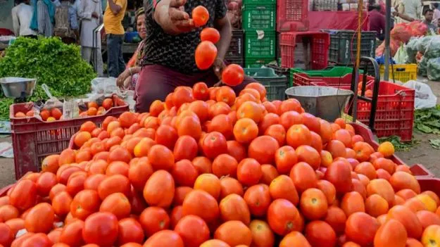 Tomato: టమోటాకు టైమొచ్చింది.. కిలో ఎంతంటే..