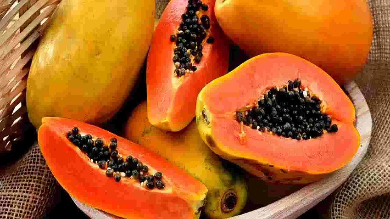 Monsoon Tips: వర్షాకాలంలో చీటికిమాటికీ జ్వరం వస్తోందా.. అయితే ఇలా చేయండి.. 