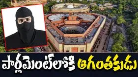 Security Breach At Parliament: పార్లమెంట్‌లోకి ఆగంతకుడు.. అప్రమత్తమైన భద్రతా సిబ్బంది 