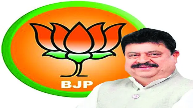 జిల్లాలో బీజేపీ గాడిన పడేనా!