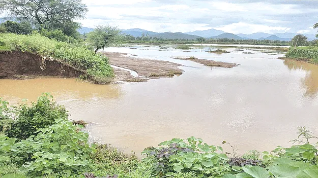 Still Can’t Recover! ఇంకా తేరుకోలే!