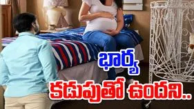 Pregnant Wife: భార్య గర్భిణిగా ఉందని.. కోటి రూపాయల ఉద్యోగాన్ని వదిలేశాడు.. కారణం తెలిస్తే.. 