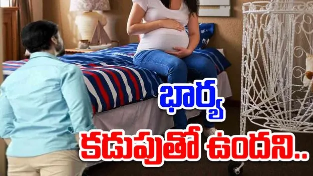 Pregnant Wife: భార్య గర్భిణిగా ఉందని.. కోటి రూపాయల ఉద్యోగాన్ని వదిలేశాడు.. కారణం తెలిస్తే.. 