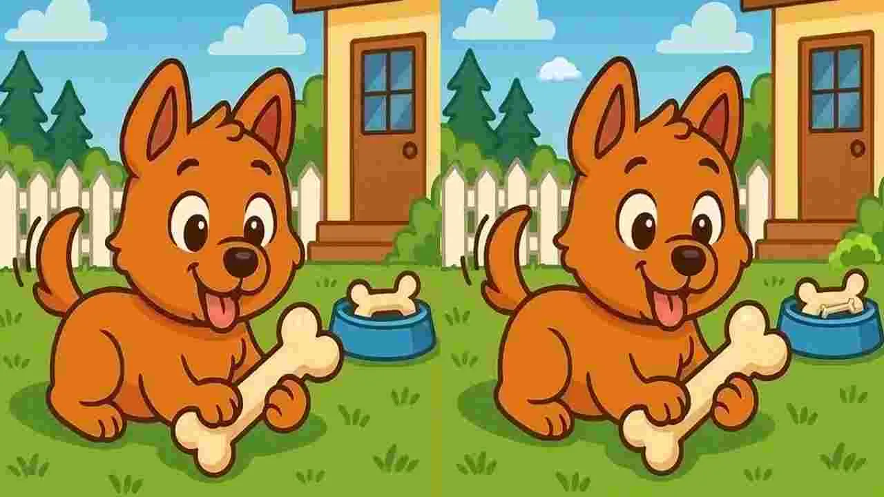 Picture Puzzle: మీ బ్రెయిన్‌కు టెస్ట్.. ఈ ఫొటోల్లోని మూడు తేడాలను 21 సెకెన్లలో కనిపెట్టండి