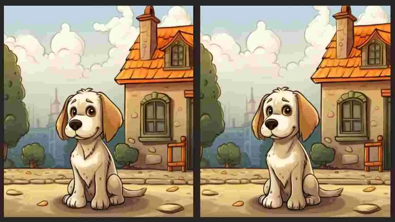 Picture Puzzle: మీ కళ్లను పరీక్షించుకోండి.. ఈ ఫొటోల్లోని మూడు తేడాలను 23 సెకెన్లలో కనిపెట్టండి