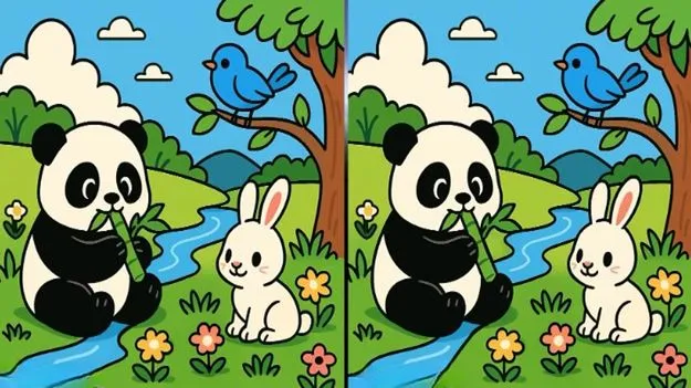 Picture Puzzle: మీ బ్రెయిన్‌ పవర్‌కు టెస్ట్.. ఈ ఫొటోల మధ్యలో మూడు తేడాలను 50 సెకెన్లలో కనిపెట్టండి