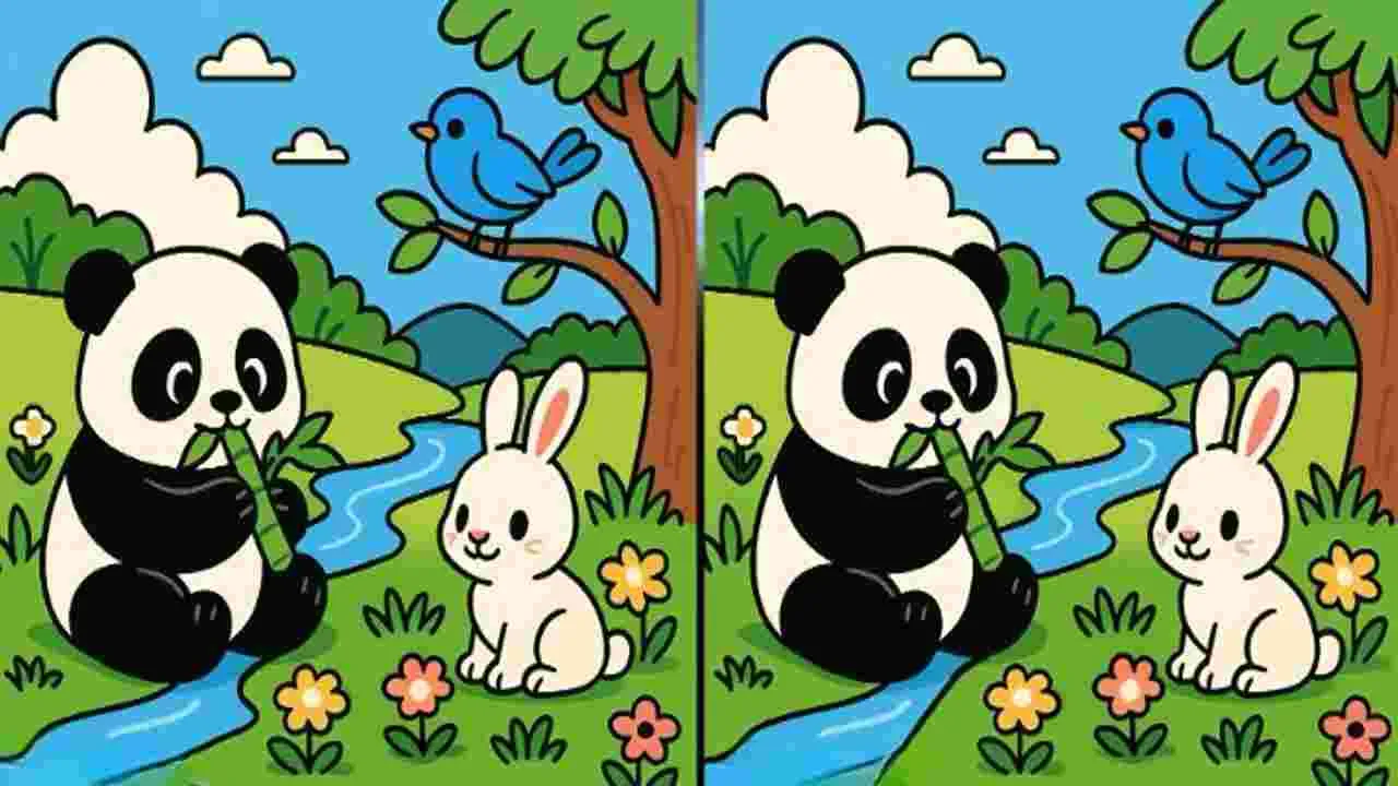 Picture Puzzle: మీ బ్రెయిన్‌ పవర్‌కు టెస్ట్.. ఈ ఫొటోల మధ్యలో మూడు తేడాలను 50 సెకెన్లలో కనిపెట్టండి