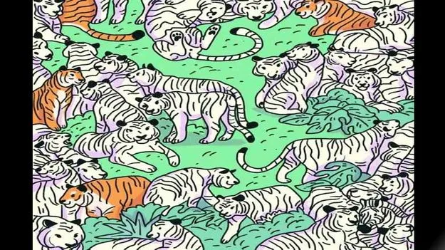 Optical Illusion Test: మీ కళ్లు షార్ప్ అయితే.. ఈ పులుల మధ్యనున్న జీబ్రాను 10 సెకెన్లలో కనిపెట్టండి..