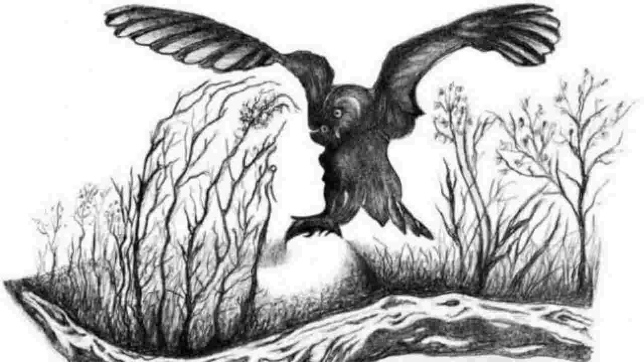 Optical Illusion Test: మీ కళ్లకు పరీక్ష.. ఈ ఫొటోలో అందమైన అమ్మాయి మొహాన్ని 25 సెకెన్లలో కనిపెట్టండి..