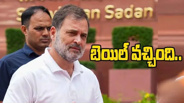 Rahul Gandhi: అమిత్‌షాపై పరువునష్టం వ్యాఖ్యలు.. రాహుల్‌కు బెయిల్