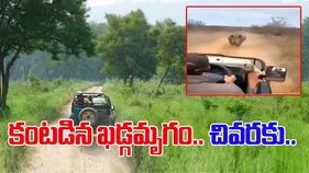 Rhino Viral Video: ఊపిరి బిగపట్టి చూడాల్సిన వీడియో.. కారుకు ఎదురొచ్చిన ఖడ్గమృగం.. చివరకు.. 
