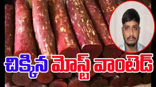 Kadapa: మోస్ట్ వాంటెడ్ ఎర్రచందనం స్మగ్లర్ అరెస్ట్..