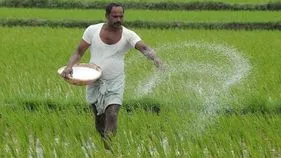 AP News: ఫసల్‌ బీమాతో... రైతులకు ధీమా