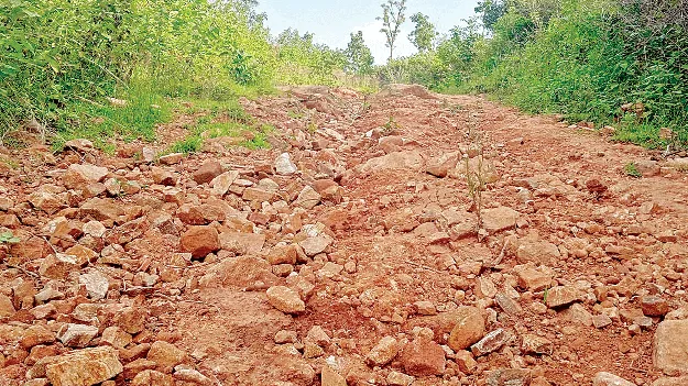  a Path Can Be Shown! దృష్టి సారించి.. ‘దారి’ చూపితే!