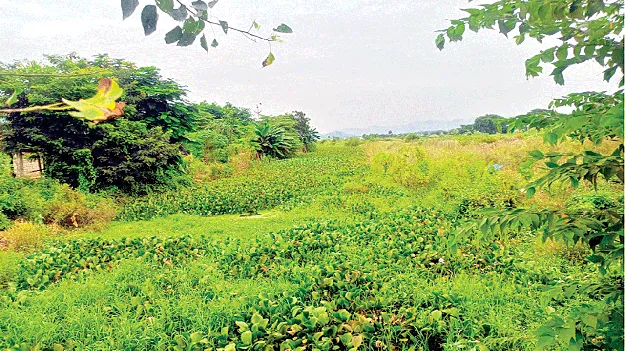 This is a Canal   ఇది కాలువే..