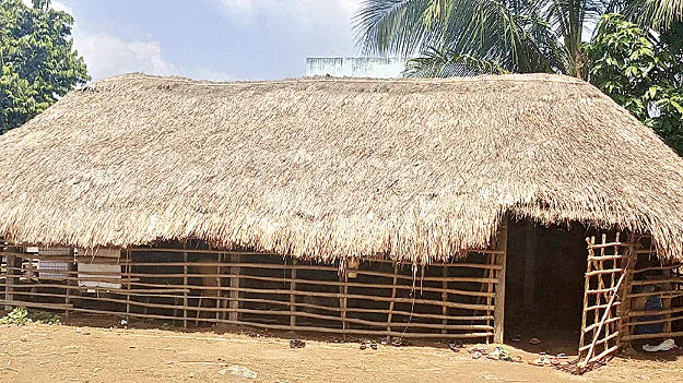  But No Building! బడి ఉంది.. భవనమే లేదు!