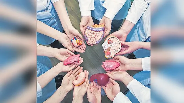 Organ Donation: ఆయుష్షు పోస్తున్న అవయవదానం