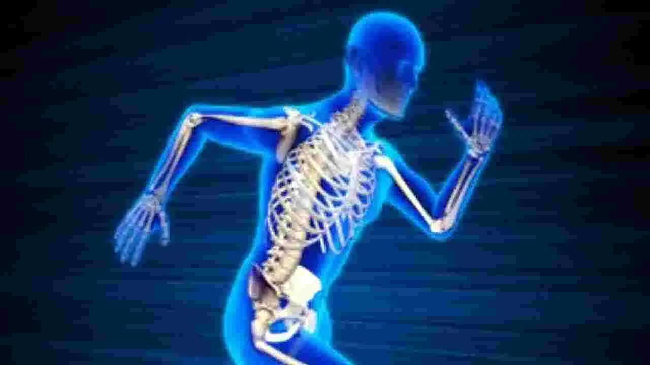 Health Tips: రోజూ శనగలు తింటే.. ఎన్ని లాభాలున్నాయో తెలుసా.. 